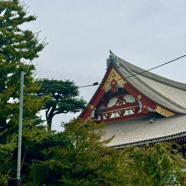 禪定神域．大國主神社