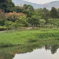 白蓮洞公園～城市綠洲