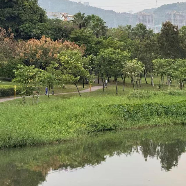 白蓮洞公園～城市綠洲