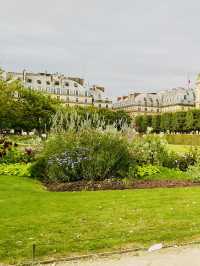 Spring Blooms at Jardin des Tuileries, Paris