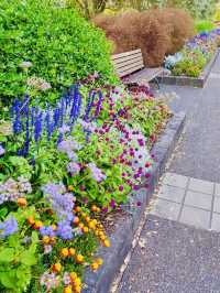 Spring into Bloom - Auckland Botanic Gardens Hike