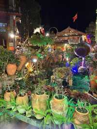 Lijiang Old Town: A Blend of Old and New