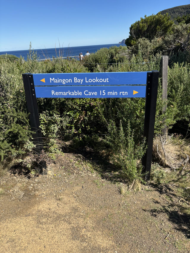 Discovering Tasmania's Natural Wonders 