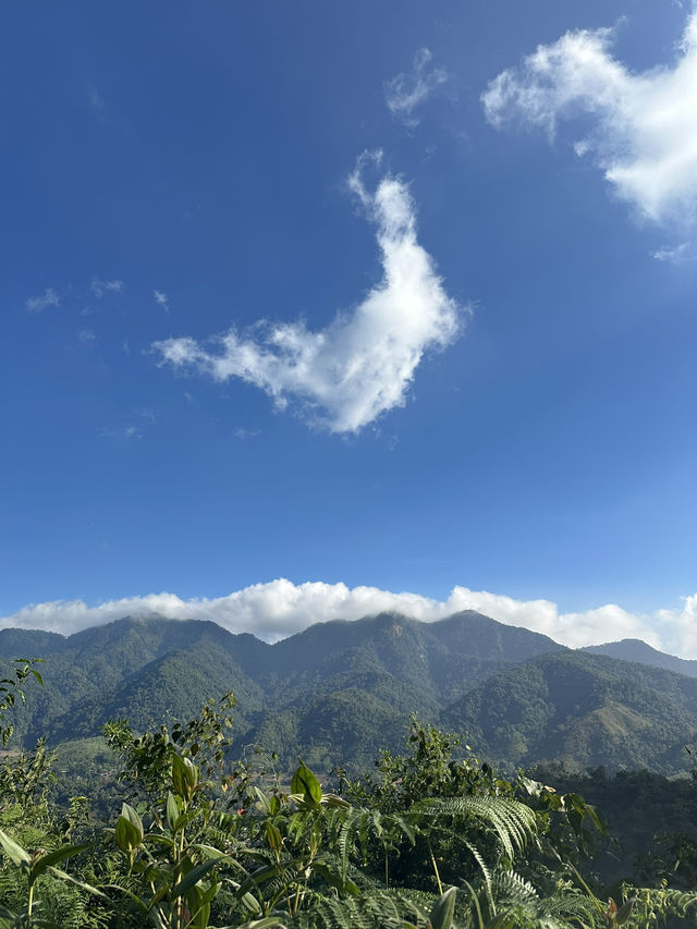Chiang Mai 3 Days Travel Guide 