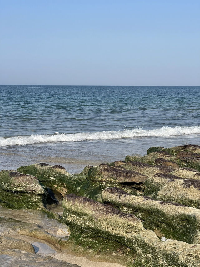 📍北海岸。老梅石槽｜海岸線的綠色浪漫