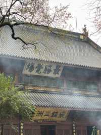 Love, Luck & Traffic Jams: How to Visit Lingyin Temple Like a Pro (Spoiler: Take the Bus!)