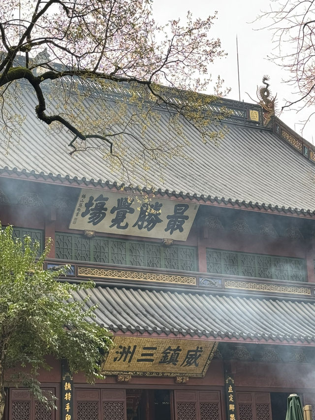 Love, Luck & Traffic Jams: How to Visit Lingyin Temple Like a Pro (Spoiler: Take the Bus!)