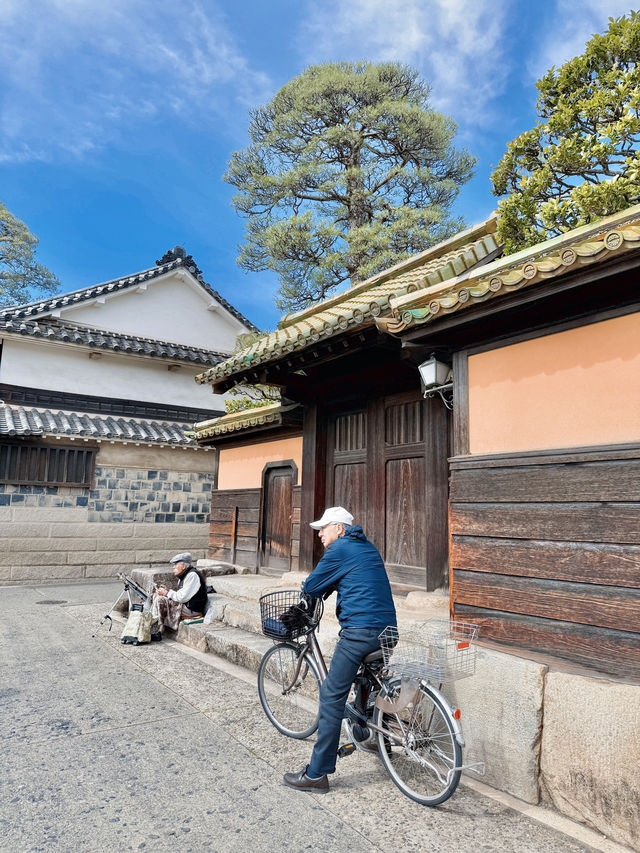 부모님과 함께 가기 좋은 봄놀이 여행지🇯🇵❤️