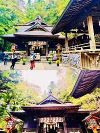 【日本山梨】新倉山淺間公園：步入秋天的畫卷