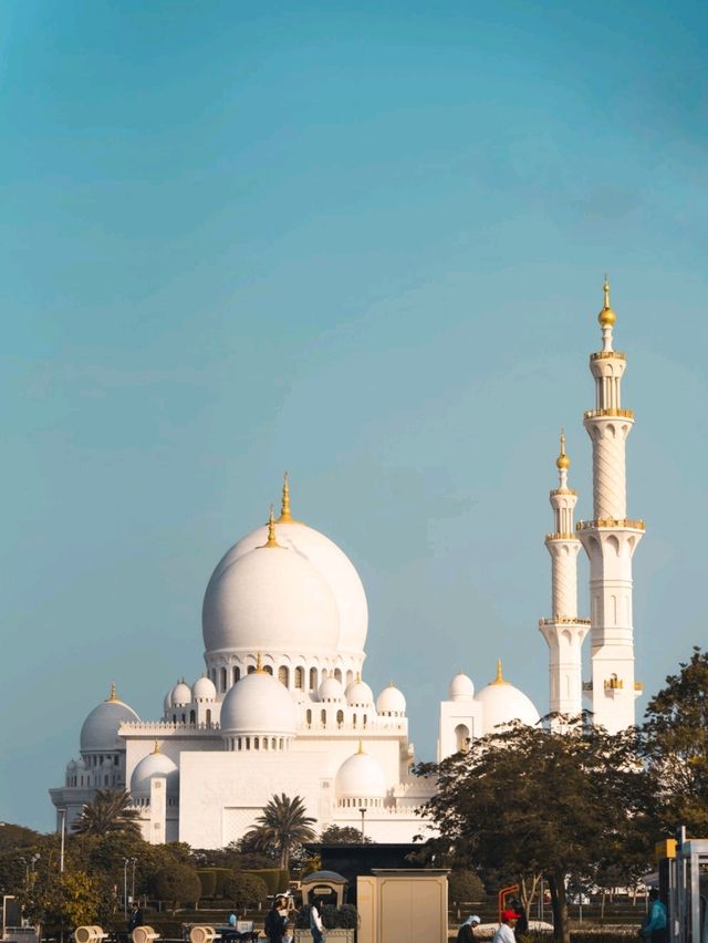 Sheikh Zayed Grand Mosque: An Icon of Architectural Splendor and Majestic Craftsmanship.