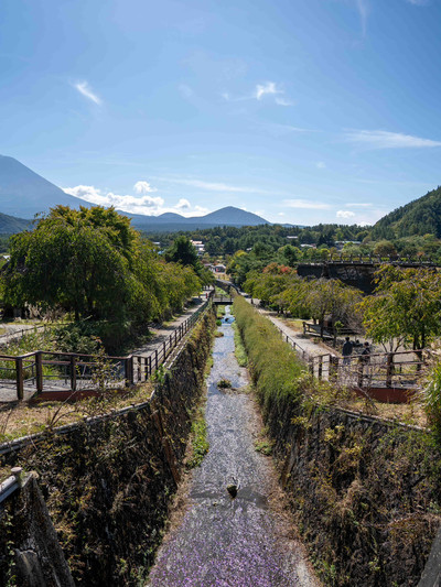 油彩画/風景画　山梨県　忍野村にて　田舎　富士山　茅葺き屋根 油彩画/風景画 山梨県 忍野村にて 田舎 富士山 茅葺き屋根