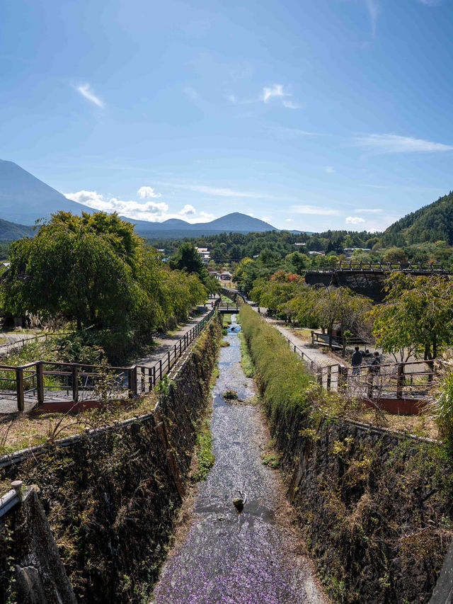 西湖いやしの里根場 🏯🍃 昔ながらの茅葺き屋根の風景に癒される