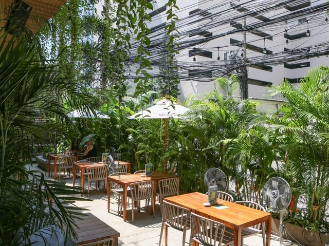 The Deck