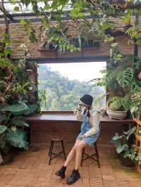 Akipu Coffee - อะกิปุ 🌿
