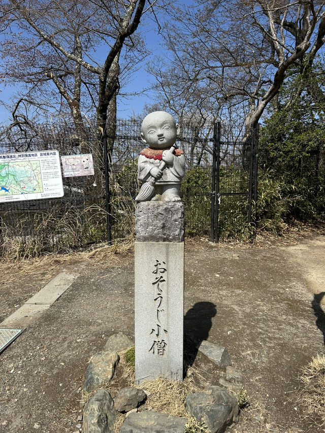 週末リフレッシュ！自然とグルメを満喫する高尾山ハイキング