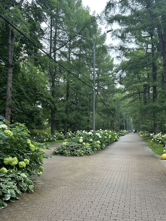 🇷🇺 Nice Park in Moscow 