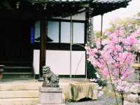 仁徳陵のそばに佇む静寂のお寺⛩️✨