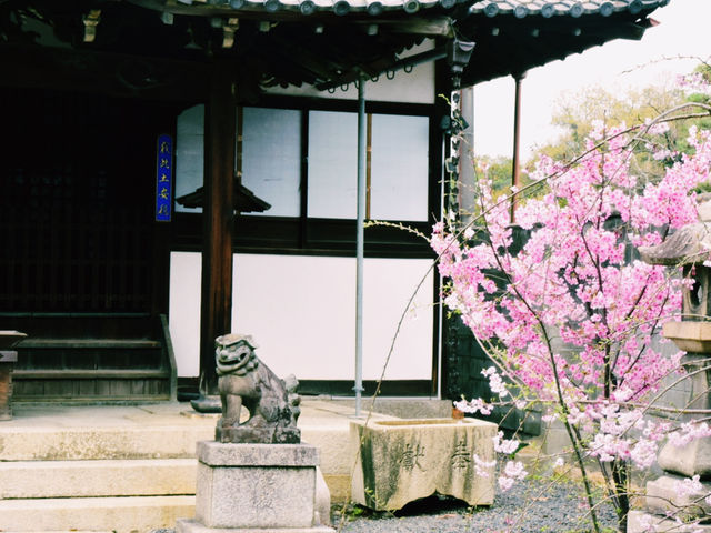 仁徳陵のそばに佇む静寂のお寺⛩️✨