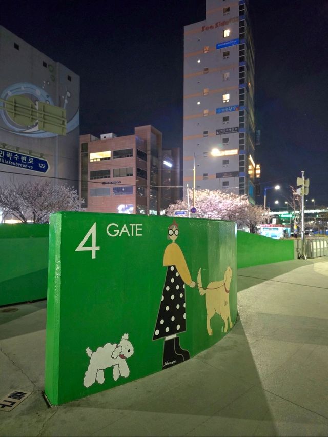 쾌적하고 더예뻐진 광안대교뷰 민락수변공원💚