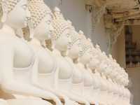 วัดพระวรราชาทินัดดามาตุ 