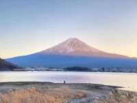 河口湖岸散步，感受富士山之美。
