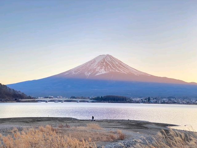 河口湖岸散步，感受富士山之美。