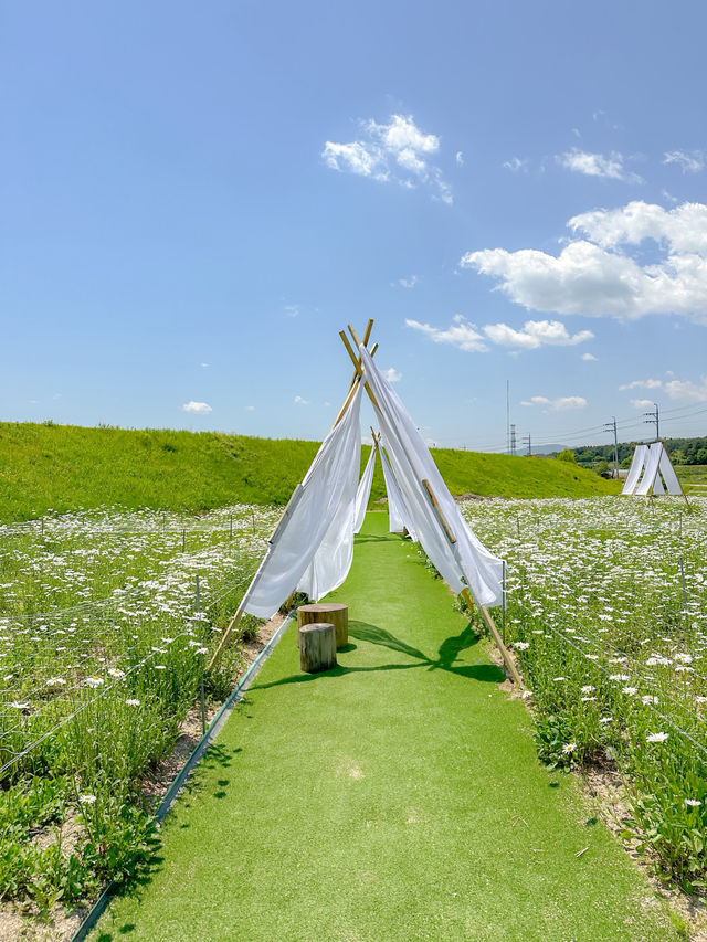 흙길 따라 도착한 마음 속 쉼터🌿🏡