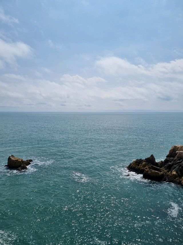 울산의 바다를 느낄 수 있는 대왕암 공원🏞