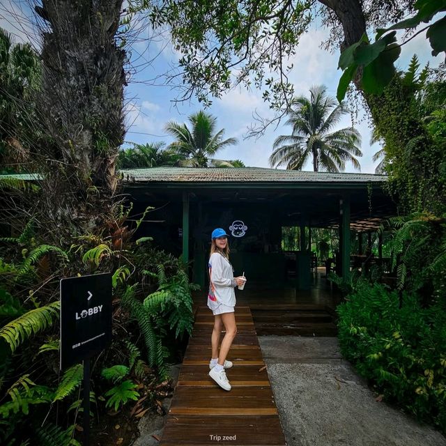 ร้านอาหาร และคาเฟ่ ท่ามกลางธรรมชาติ กระบี่