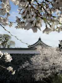 Fukuoka Castle Ruins day & night views