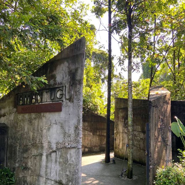 Taman Tugu Forest Trail 