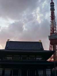 【春の夜の東京港区芝地区　田町-増上寺-東京タワー,芝公園-聖オルバン教会-麻布台、神谷町までシティウォーク。】 