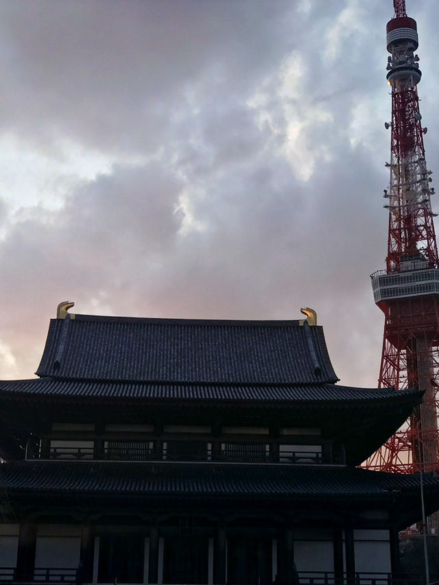 【春の夜の東京港区芝地区　田町-増上寺-東京タワー,芝公園-聖オルバン教会-麻布台、神谷町までシティウォーク。】 
