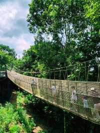 Into the Heart of the Jungle – Rainforest Wild Asia Adventure!