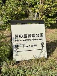 Spring Walks at Yumenoshima Green Road Park