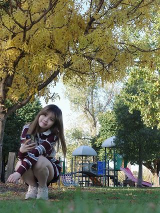 🇦🇺Small parks in Melbourne suitable for picnics