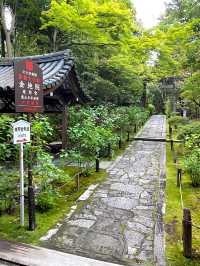 |京都南禅寺|徳川家康ゆかりの東照宮がある金地院