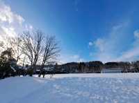 北海道旅遊🥳參觀富田農場😍免費任玩迷你雪兜場🤣刺激好玩🥰欣賞大自然雪景❄️