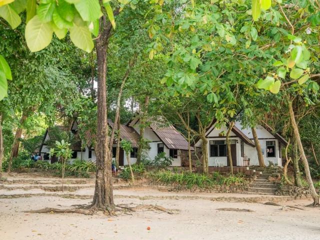 หมู่เกาะสุรินทร์ เกาะทะเลไทยที่สวยและสมบูรณ์ที่สุด