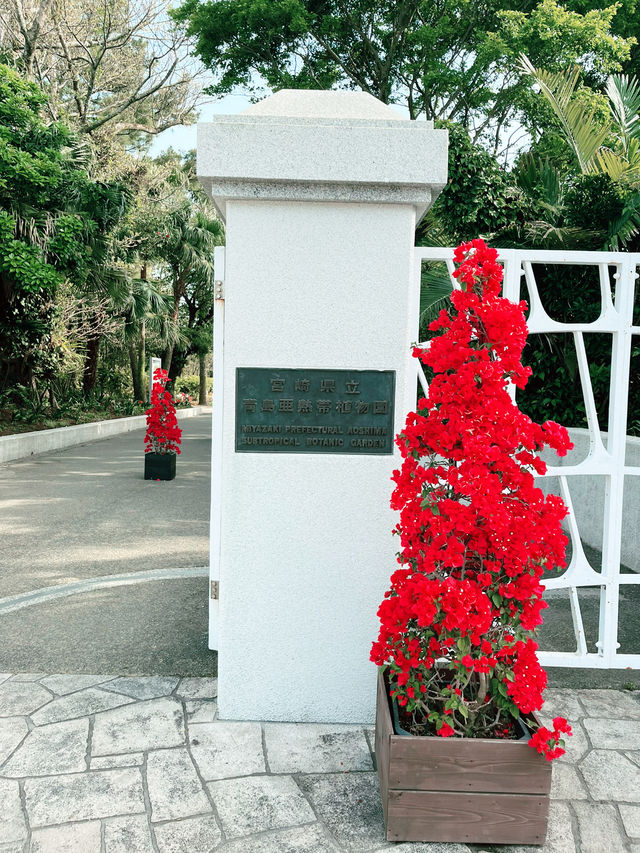 【宮崎】宮交ボタニックガーデン青島：南国ムード満点の無料植物園で癒しのひととき