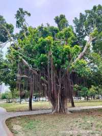 หมู่บ้านศิลปะเว่ยอู่อิ๋ง สวนสาธารณะ