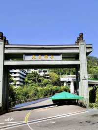 承天禪寺步道走向桐花公園賞油桐花