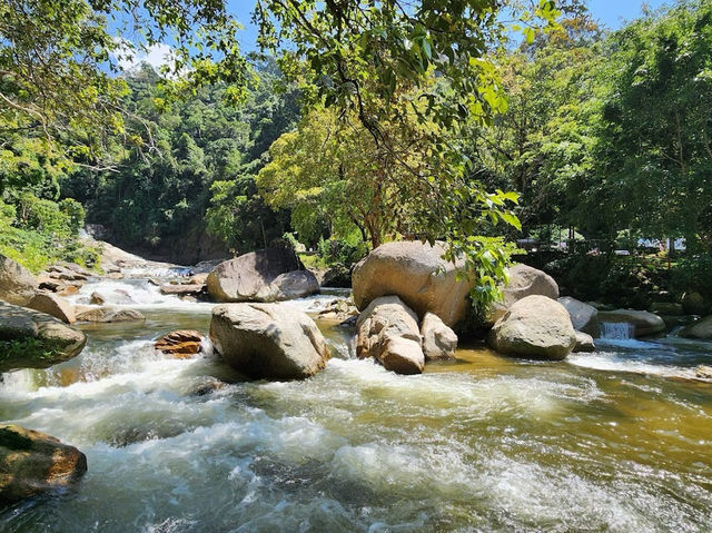 💦 Waterfall Woes & Whoas: My Splashy Day at Chamang 🌿🌈