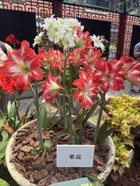 台北｜士林官邸與新蘭亭一日遊｜歷史與藝術的完美融合