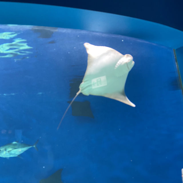 X Park Aquarium 