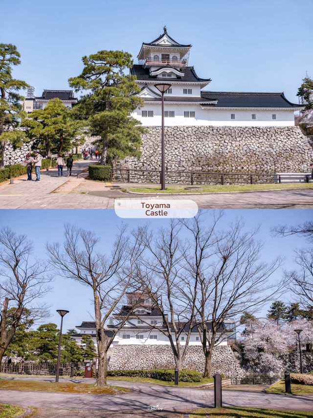 8 พิกัดเที่ยวโทยาม่ากับวิวแจแปนแอลป์สุดอลัง🗻🌸🎌