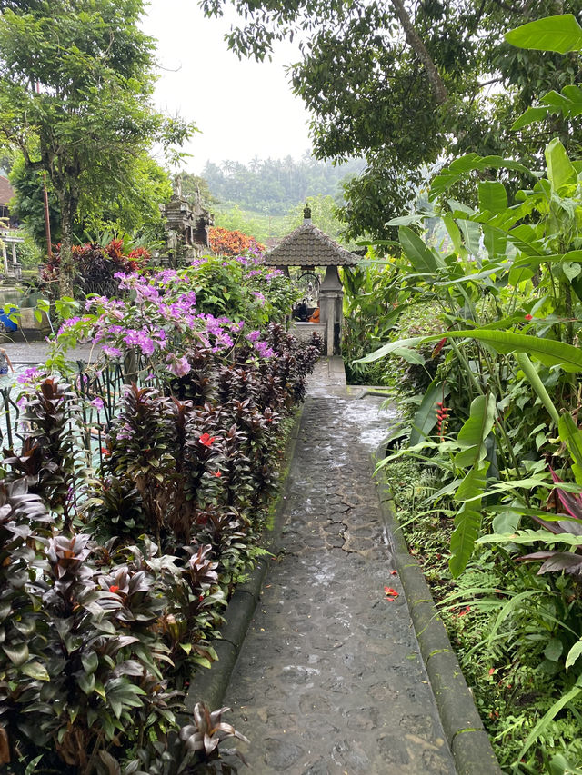 【インドネシア🇮🇩バリ島】水の庭園✨ティルタ・ガンダ
