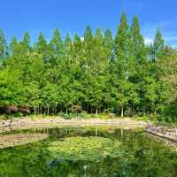 ～與力町公園～靜謐綠意～