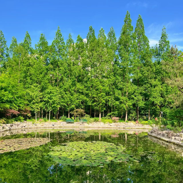 ～與力町公園～靜謐綠意～