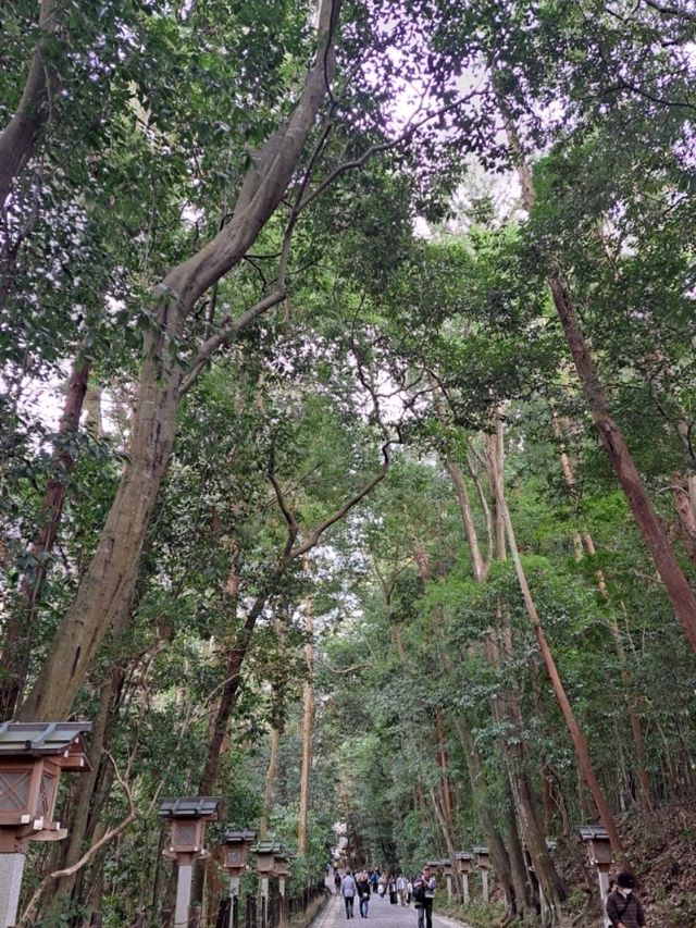 【三輪明神 大神神社:奈良県桜井市】